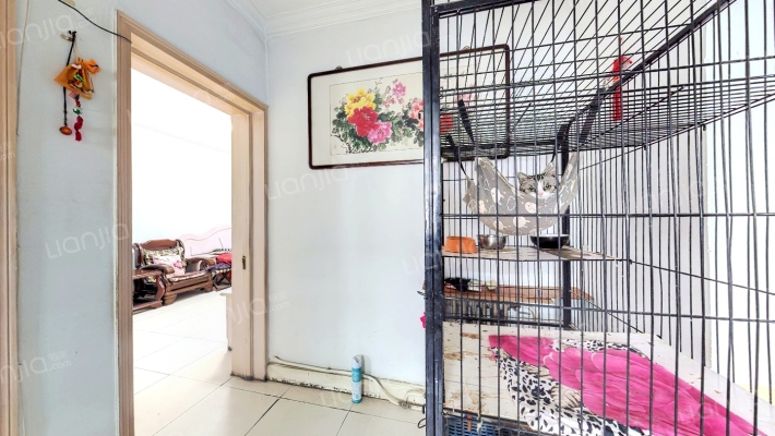 二号路棉一楼二手房实景图