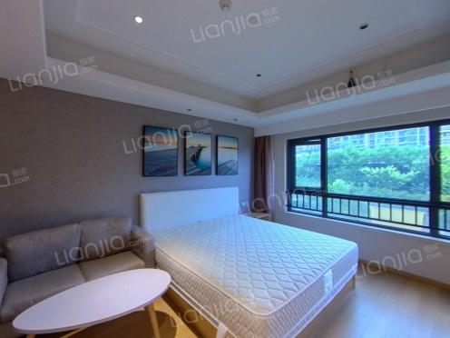 整租·中锐星汇生活广场 1室1厅 南