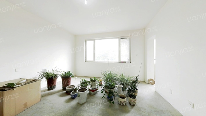 越秀园二手房实景图