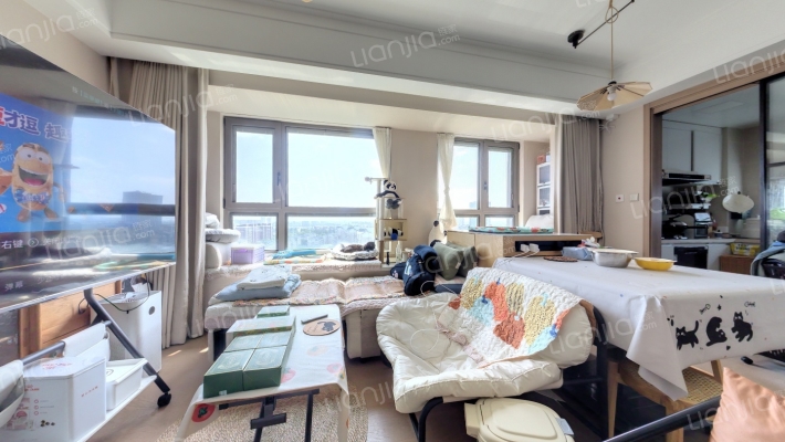 大华公园荟二手房实景图