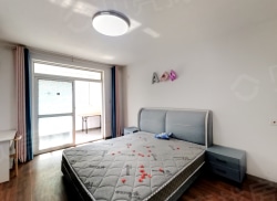 整租·新港花苑 1室1厅 南_新港花苑租房