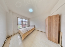 整租·金川家园 2室1厅 南_金川家园租房