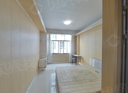 整租·湖边公寓 1室0厅 南_湖边公寓租房