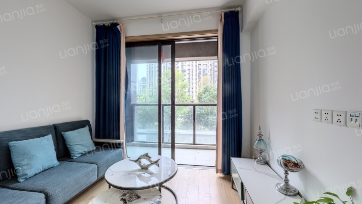 城投置地梧桐栖1期二手房实景图