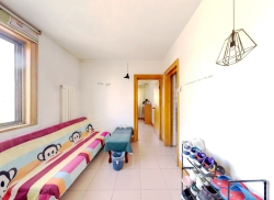 整租·青10号街坊 2室1厅 南/北_青10号街坊租房