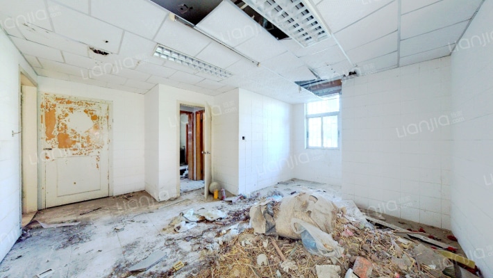 东苑花园别墅二手房实景图