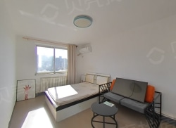 整租·星海街 1室1厅 南_星海街租房