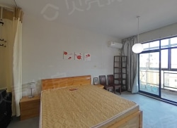 整租·五洋广场公寓 1室1厅 南_五洋广场公寓租房