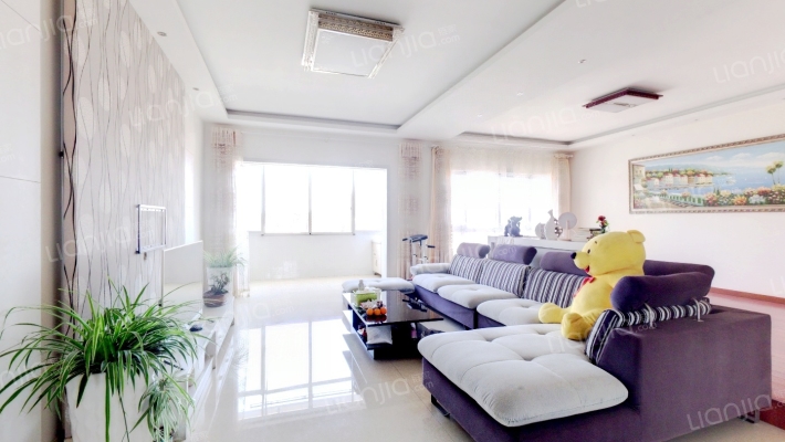 世纪都市雅苑二手房实景图