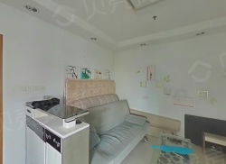 整租·上海广场 1室2厅 南_上海广场租房