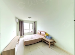 整租·亿丰中心 1室1厅 南_亿丰中心租房