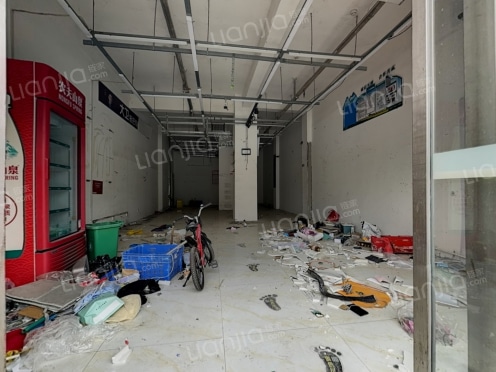 整租·金色阳光花园 1室1厅 南