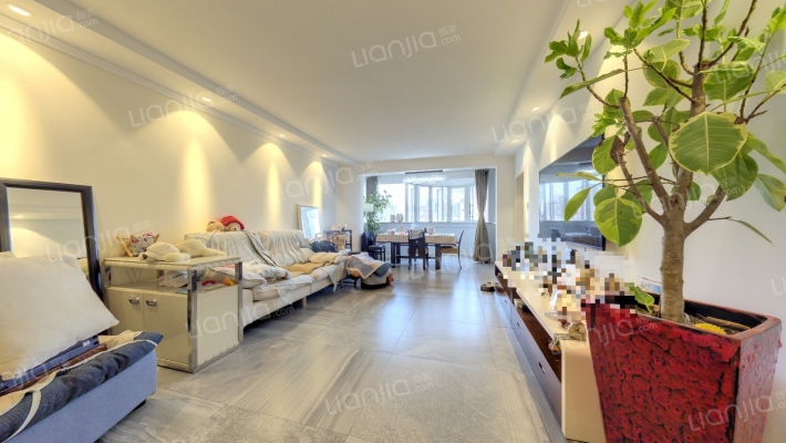 维多利亚(公寓)二手房实景图