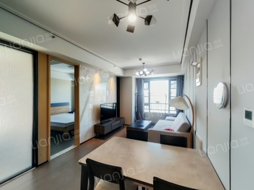 整租·龙湖梵城 3室1厅 东南