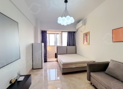 整租·碧水芳庭 1室0厅 南_碧水芳庭租房