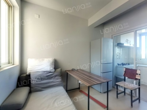 整租·新天地家园北区 1室1厅 南