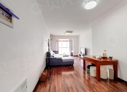 整租·龙湾 3室2厅 南_龙湾租房