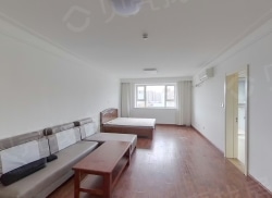 整租·新澳国际 1室1厅 南_新澳国际租房