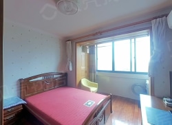 整租·高境一村 1室1厅 南_高境一村租房