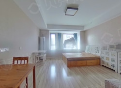 整租·万科淮海天地二街区 1室1厅 南_万科淮海天地二街区租房