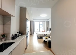 整租·悦湖观邸 1室1厅 北_悦湖观邸租房