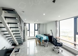 整租·赛格二期 2室2厅 复式 东_赛格二期租房