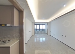 整租·银洲蝶湖中心悦府 3室2厅 南_银洲蝶湖中心悦府租房