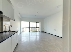 整租·万科金融中心 1室1厅 东_万科金融中心租房