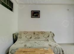 整租·桃李家园 1室1厅 东_桃李家园租房