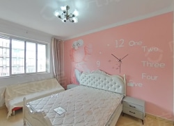 整租·善成新村 1室1厅 南_善成新村租房