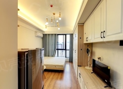 整租·红星大都汇 1室1厅 东北_红星大都汇租房