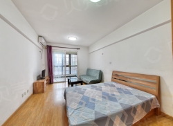 整租·新旅城 1室0厅 西_新旅城租房