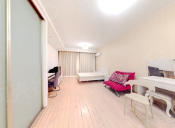 整租·信一广场 1室1厅 南_信一广场租房