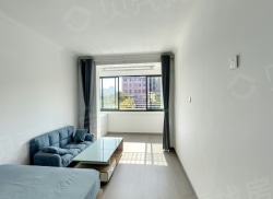 整租·海南新村 3室1厅 南_海南新村租房