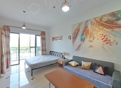 整租·现代城 1室1厅 南_现代城租房