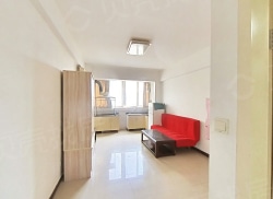 整租·领先时代广场 1室0厅 东_领先时代广场租房