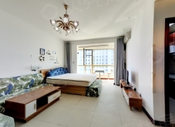 整租·金梦海湾一号 1室0厅 南_金梦海湾一号租房