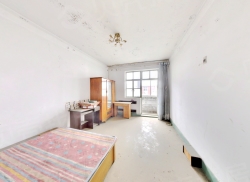 整租·钢北里 1室1厅 南_钢北里租房