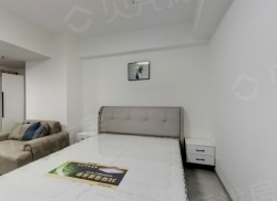 整租·CBD中央广场 1室1厅 南_CBD中央广场租房