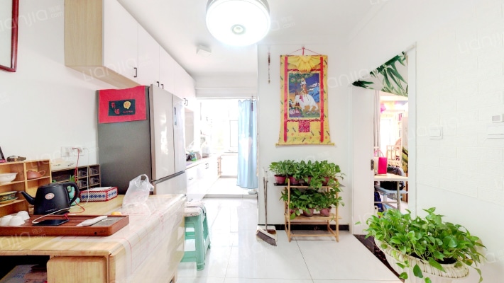 税务干部学校宿舍二手房实景图