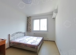 整租·文星街 1室1厅 东_文星街租房