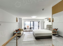 整租·明发新城中心 1室1厅 南_明发新城中心租房