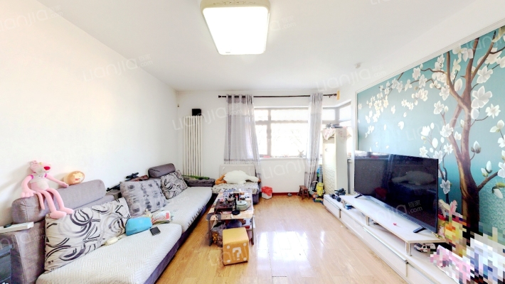 红星星湖苑二手房实景图