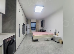 整租·天中第五大道 1室1厅 北_天中第五大道租房