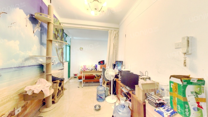 布吉中心广场二手房实景图