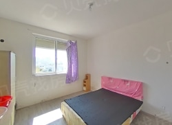 整租·善成一村 4室1厅 南/北_善成一村租房