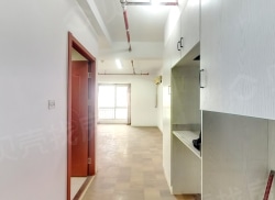 整租·中南世纪锦城 1室1厅 北_中南世纪锦城租房