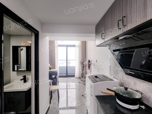 整租·碧桂园星荟 1室1厅 南