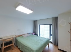 整租·龙湖新壹城 1室1厅 南_龙湖新壹城租房