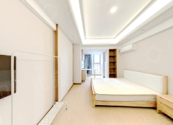 整租·国贸领寓 1室1厅 西_国贸领寓租房